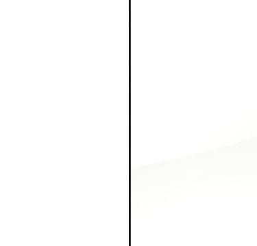 Alpine White Carcase and High Polish White Front with Carcase Color Handle Strips A9AH9