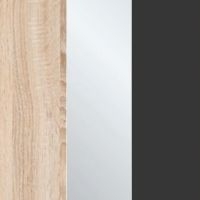 Rustic Oak with Crystal Mirror and Graphite Glass 443