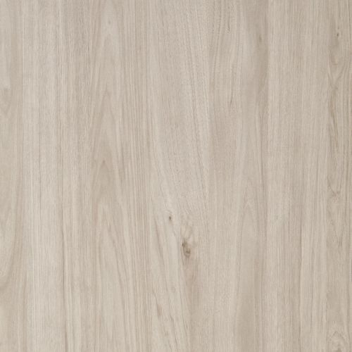 Holm Oak Finish 644