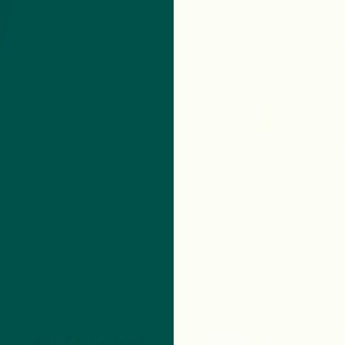 Labrador Front with Matt White Base