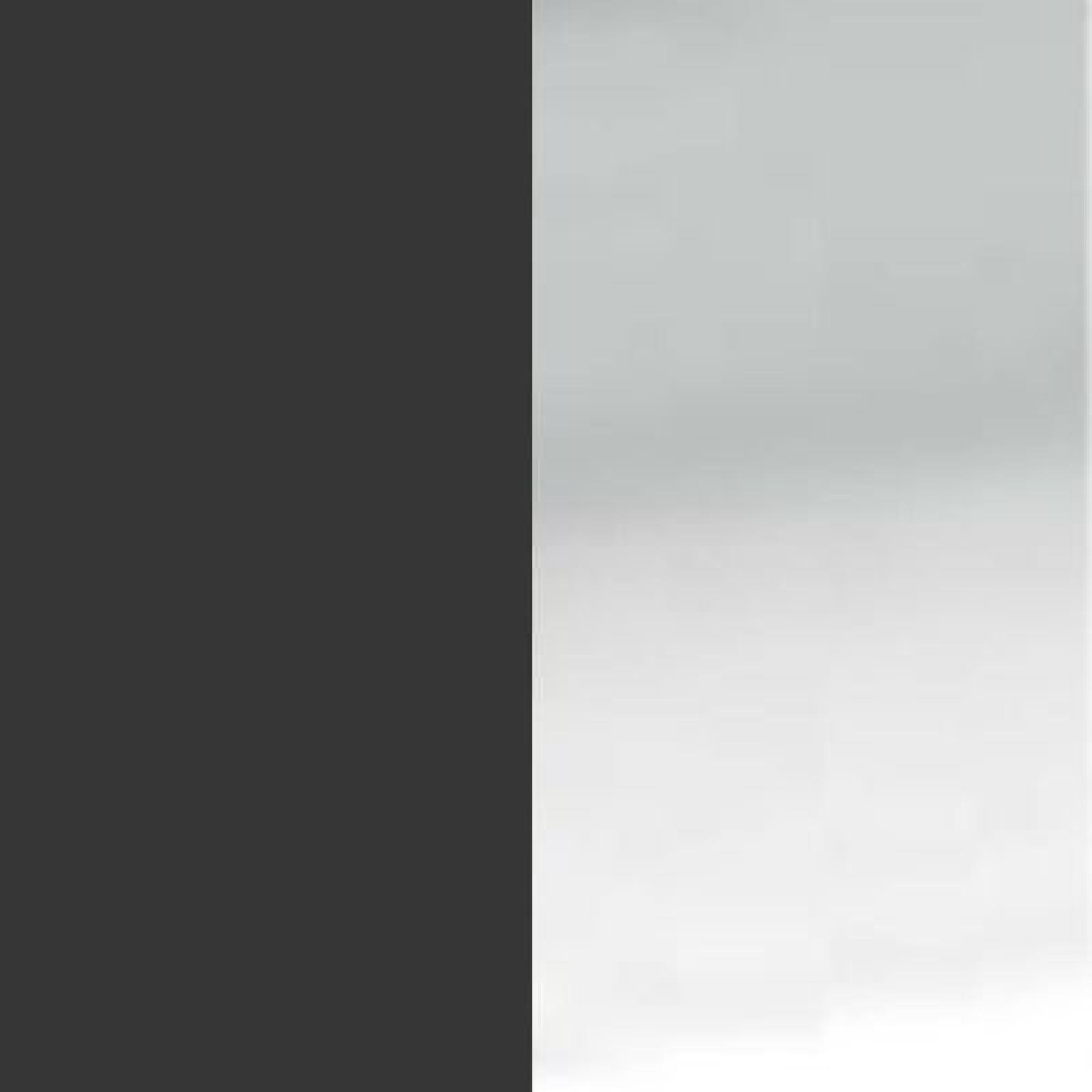 Graphite with Silver Handle 495