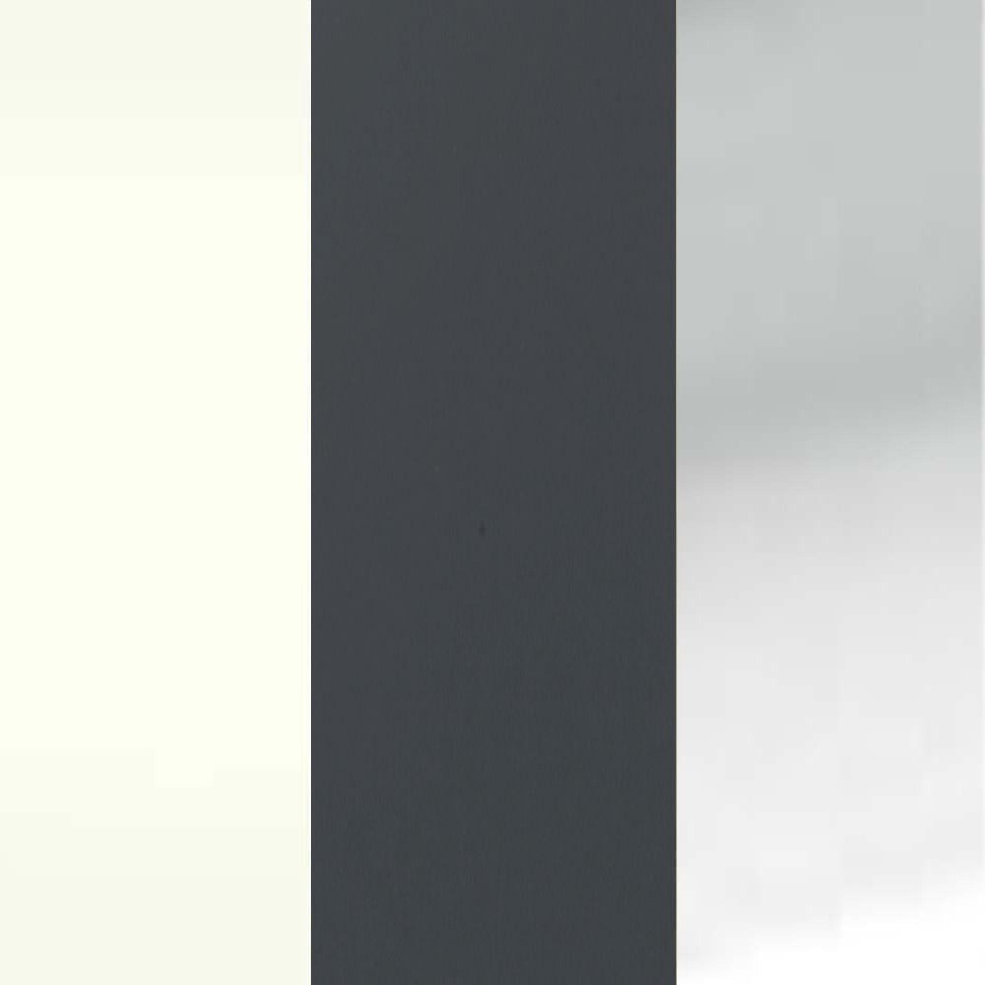 Alpine White with Graphite Glass and Silver Handle 442