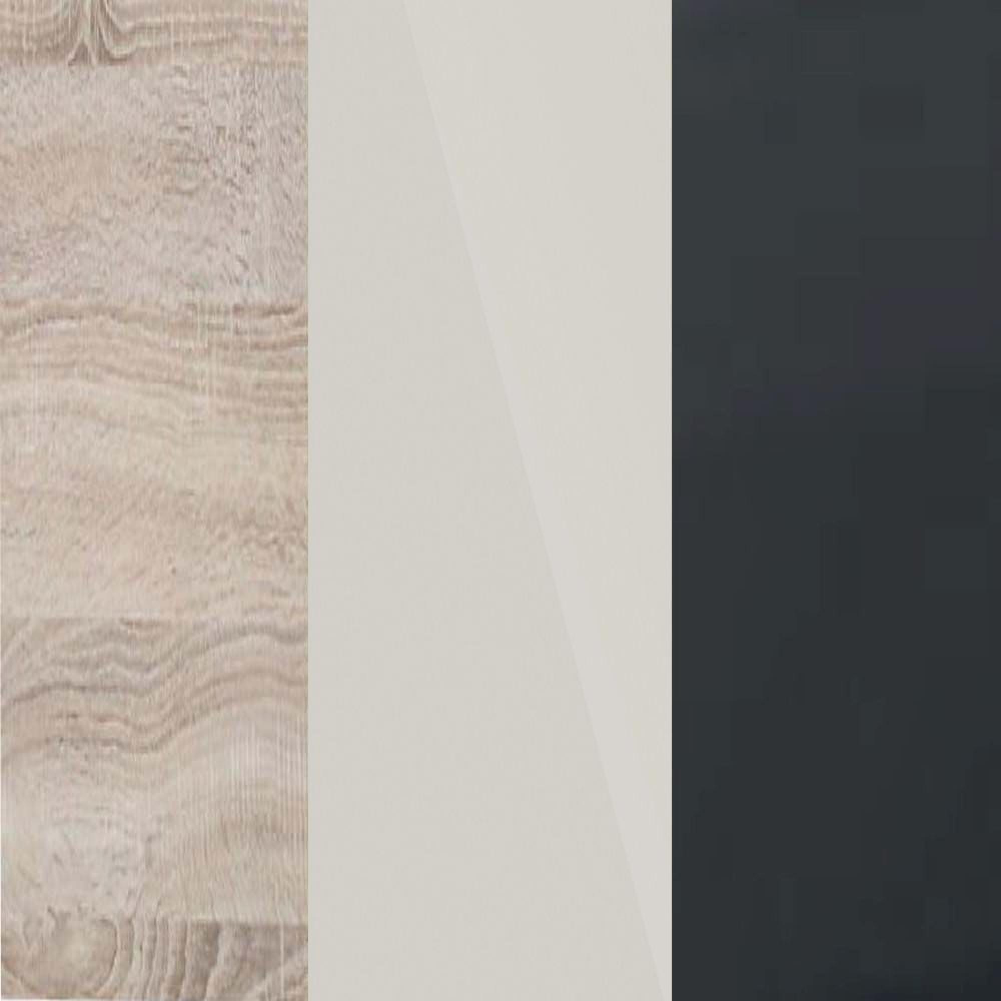 Rustic Oak Carcase and Champagne Glass Front with Slate Handle A93