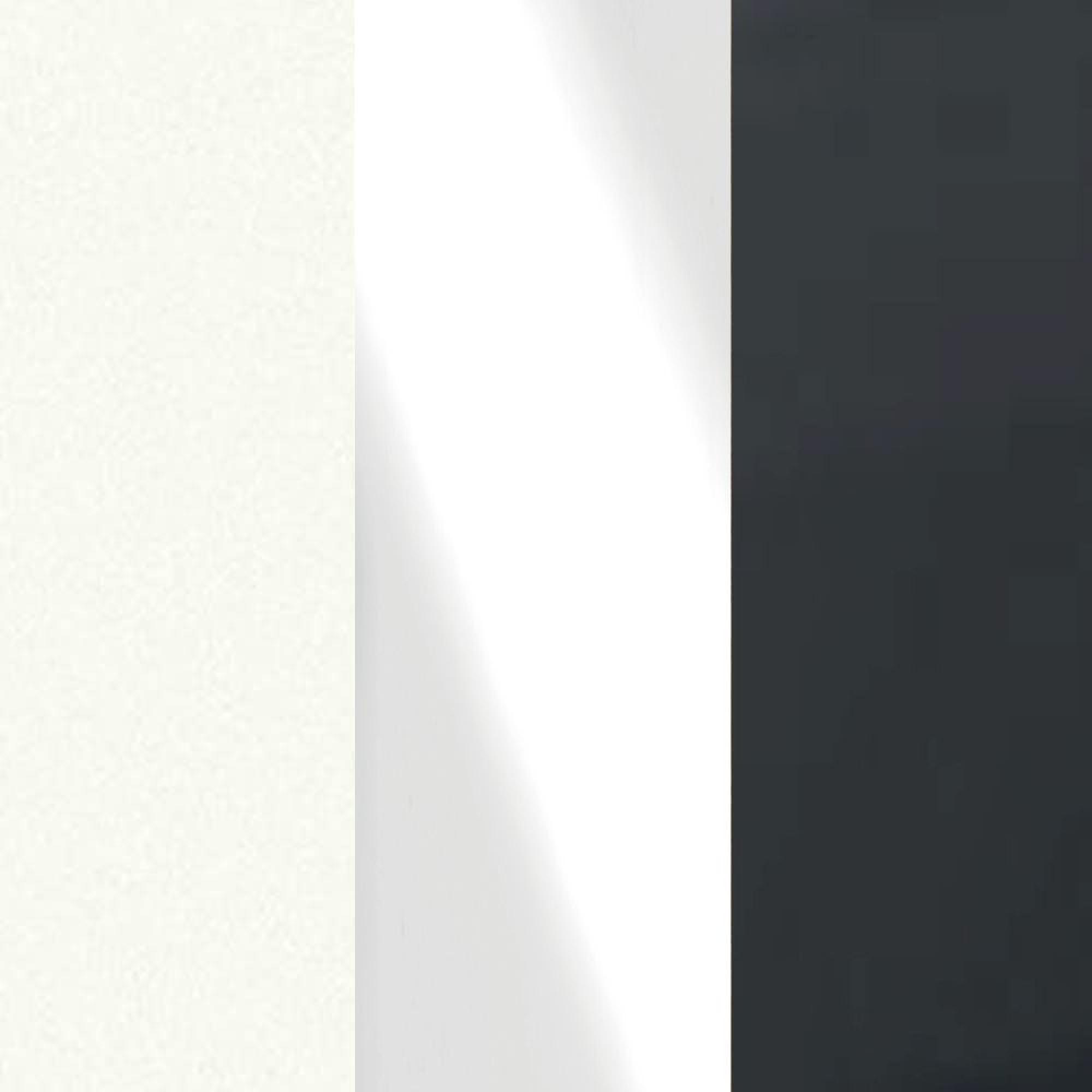 White Carcase and White Glass Front with Slate Handle A92