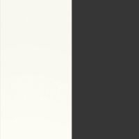 Alpine White with Graphite Glass 442