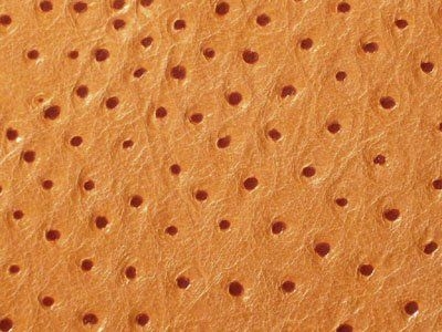 459 Cat 4 : Embossed. Ostrich