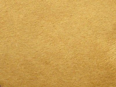 502 Cat 5 : Pony Beige