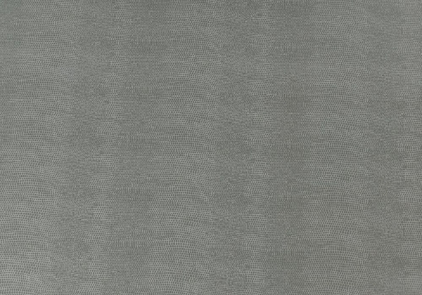 B005 : ECO Nabuk Light Grey Lizard