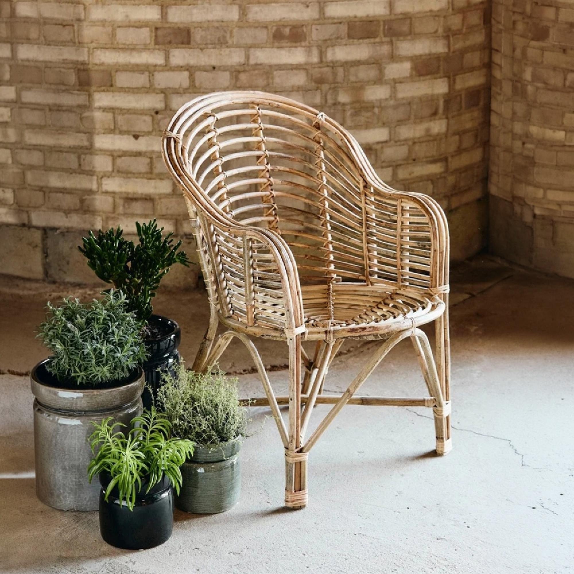Cania Dining Chair - Bamboo - Natural