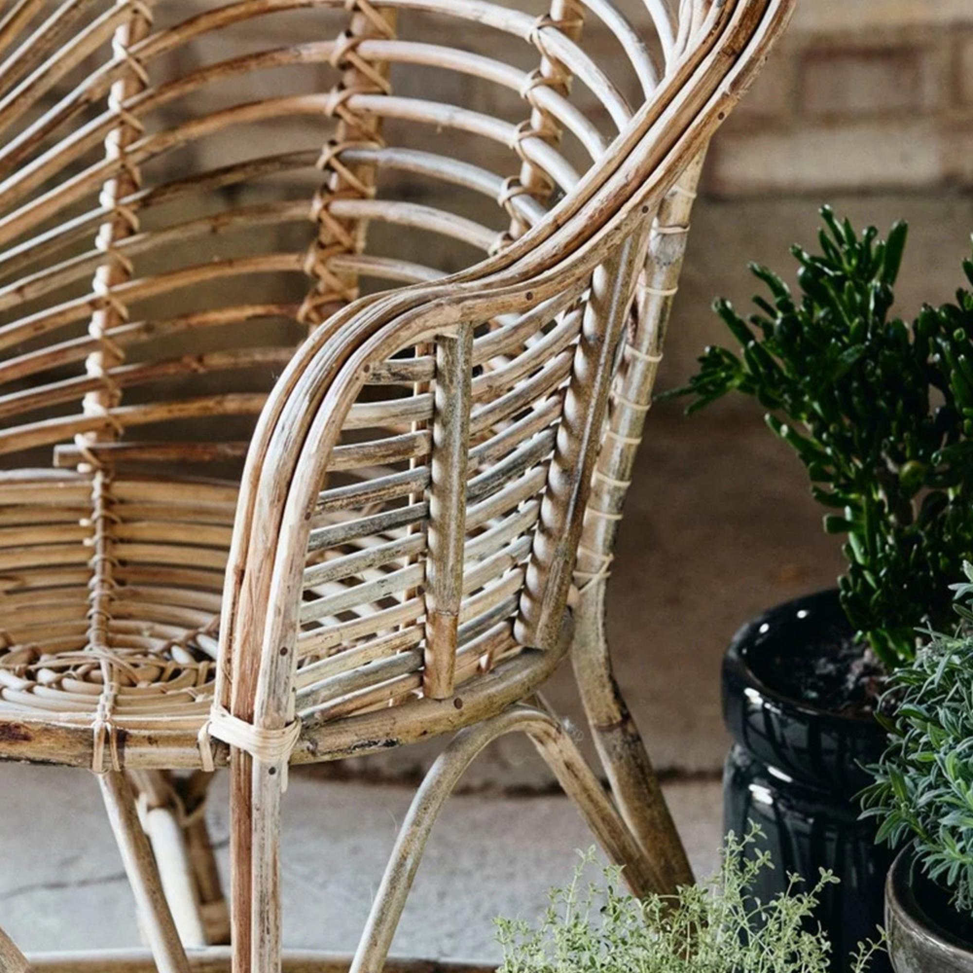 Cania Dining Chair - Bamboo - Natural