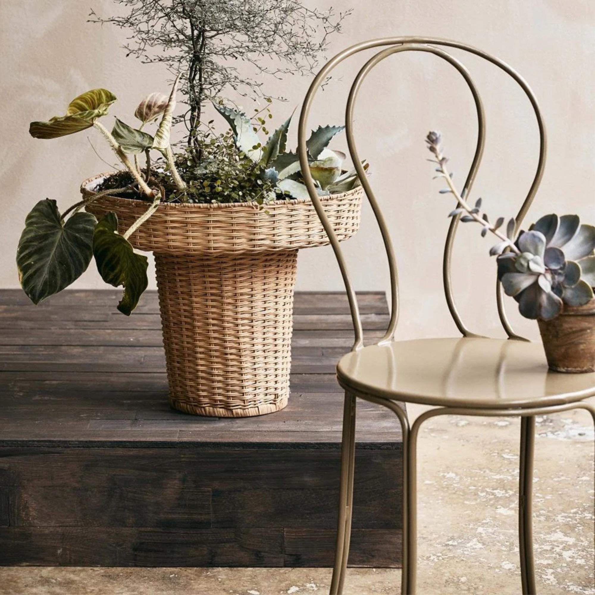 Olivo Garden Dining Chair - Metal - Green