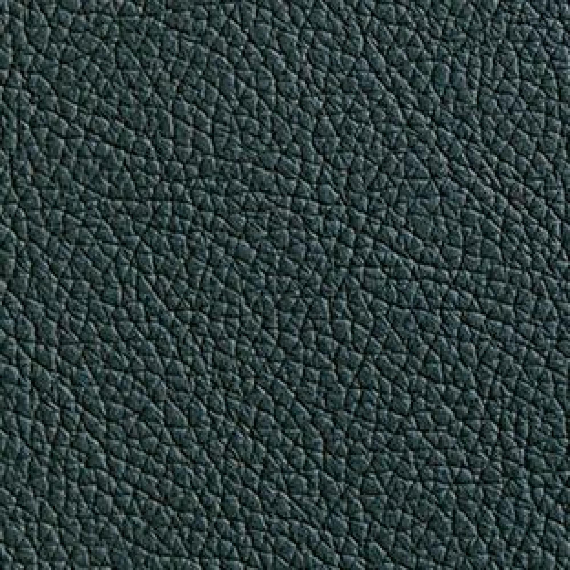 Hermes Verde