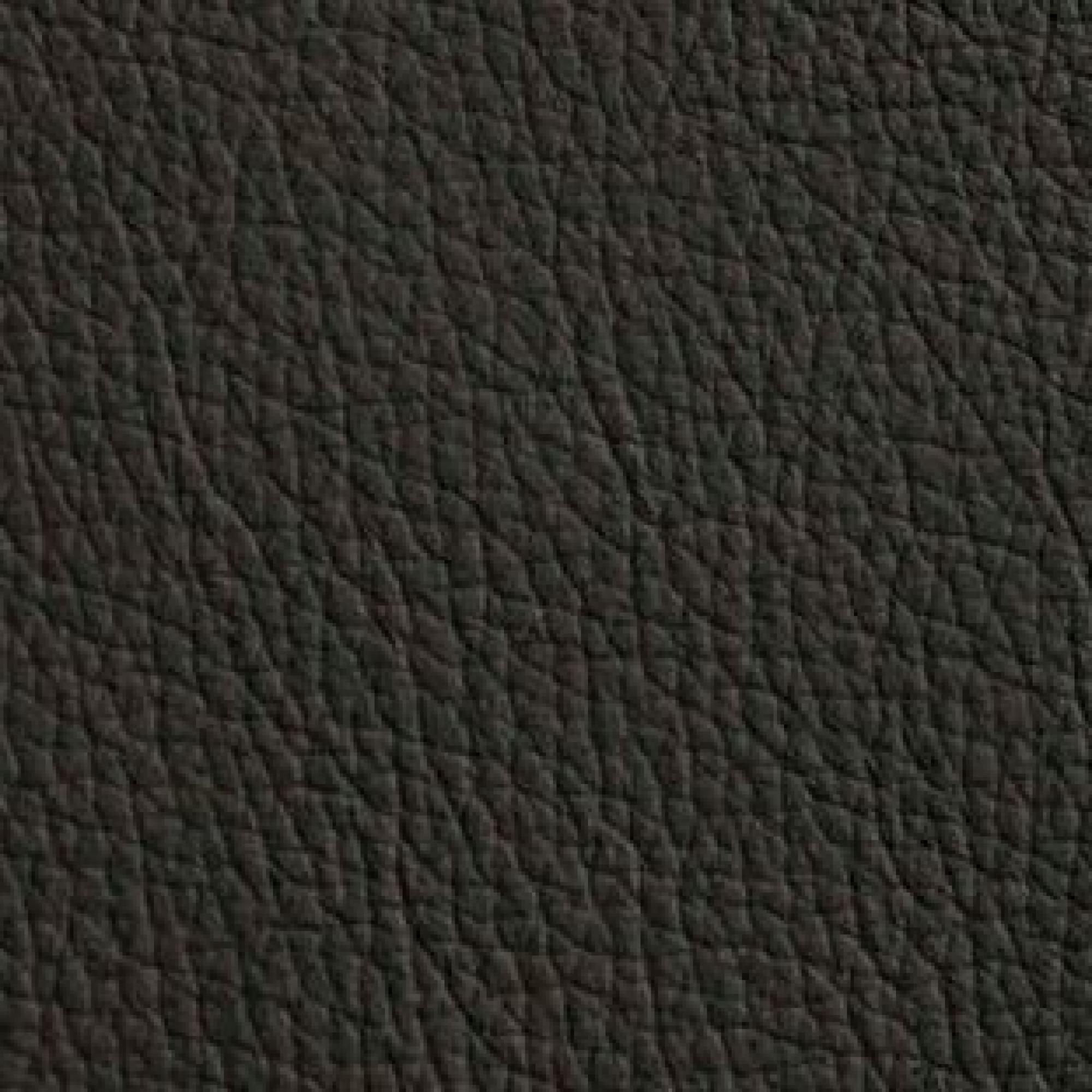 Hermes Bruin