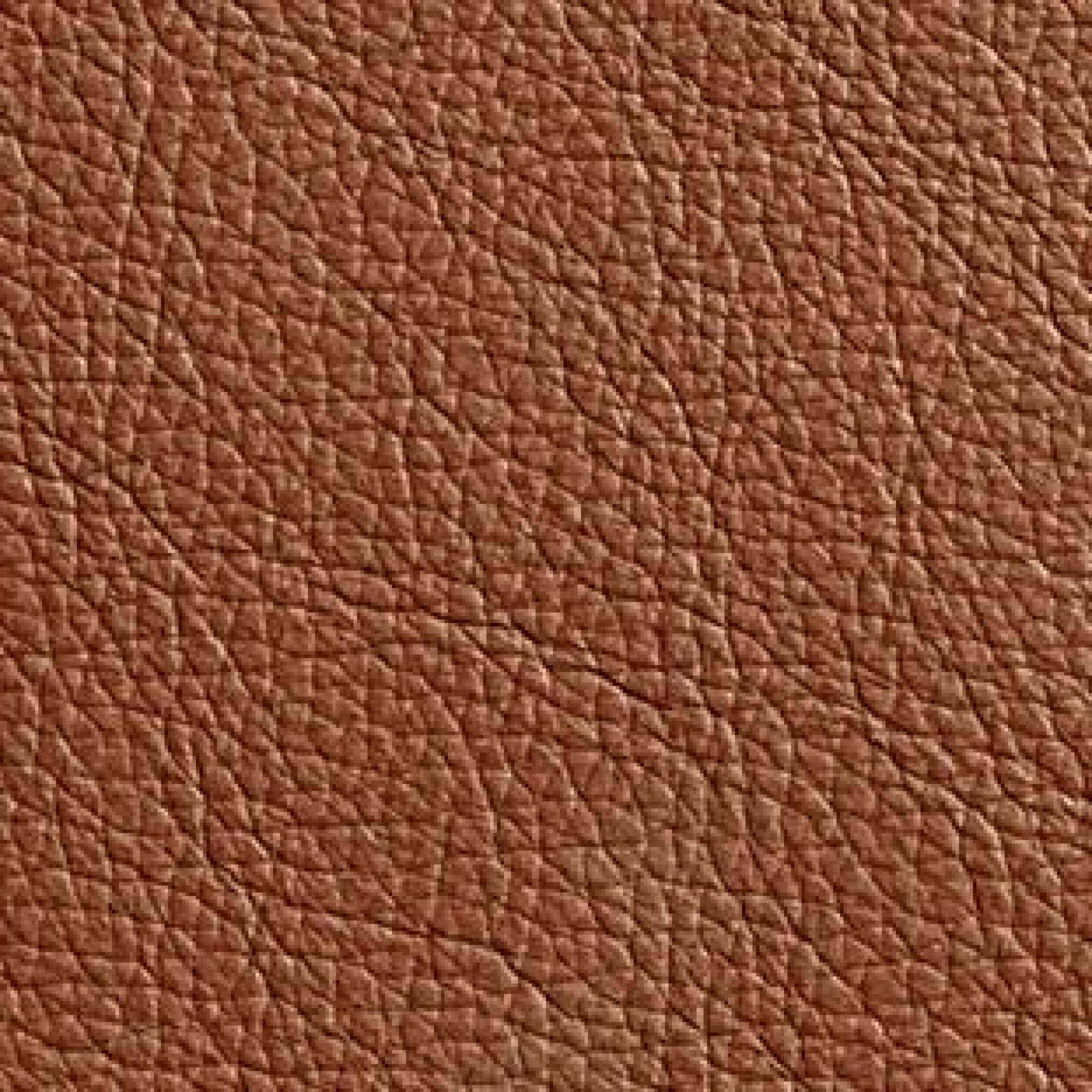 Hermes Cognac