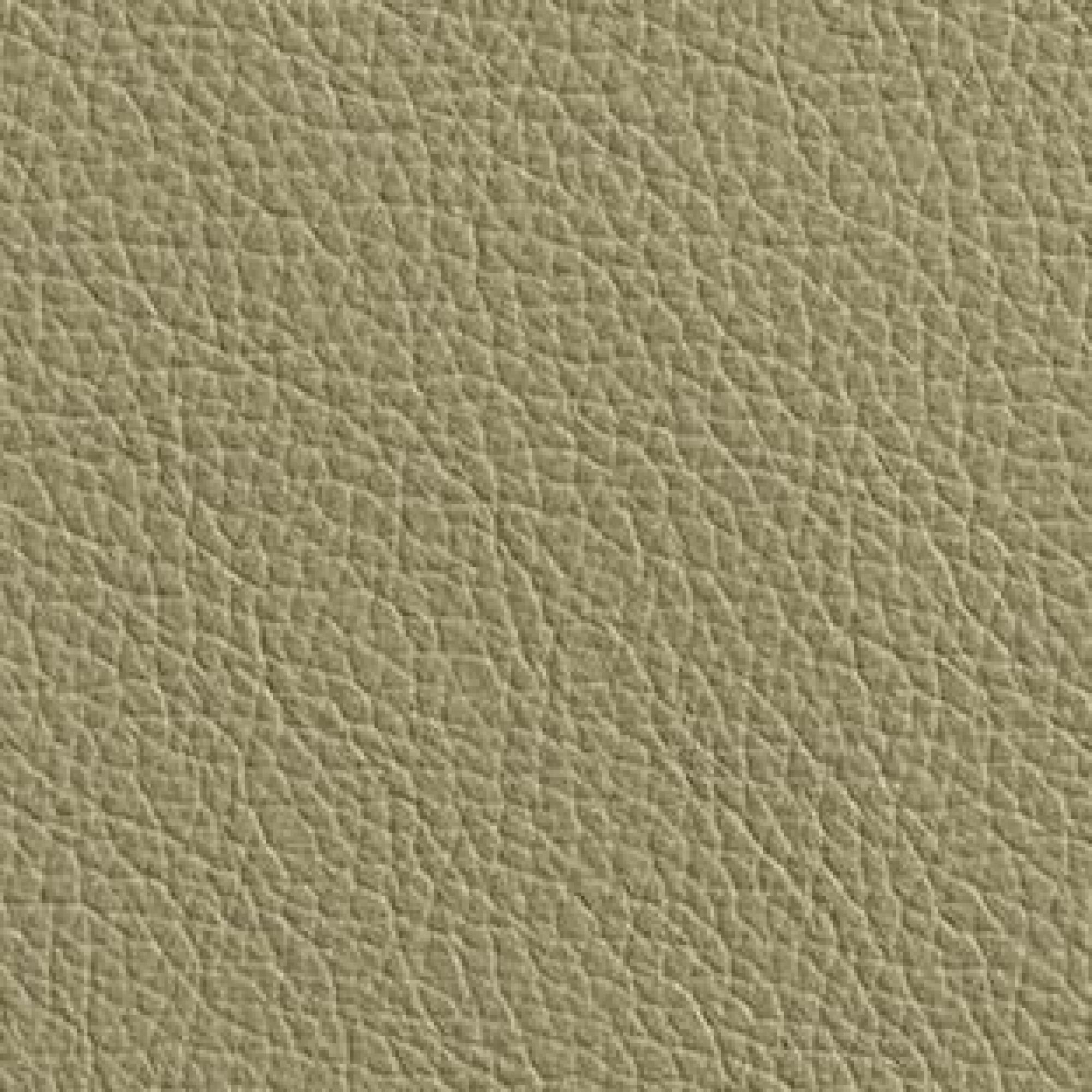 Hermes Dune