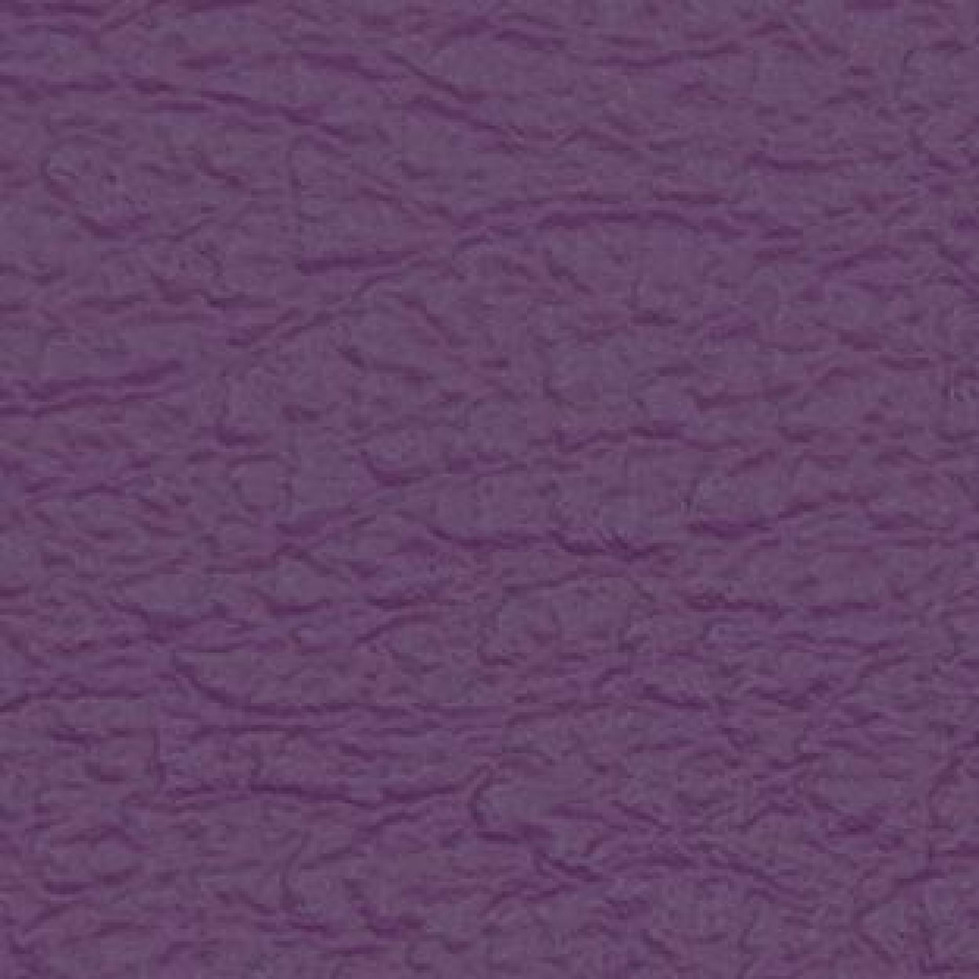 Hermes Purple