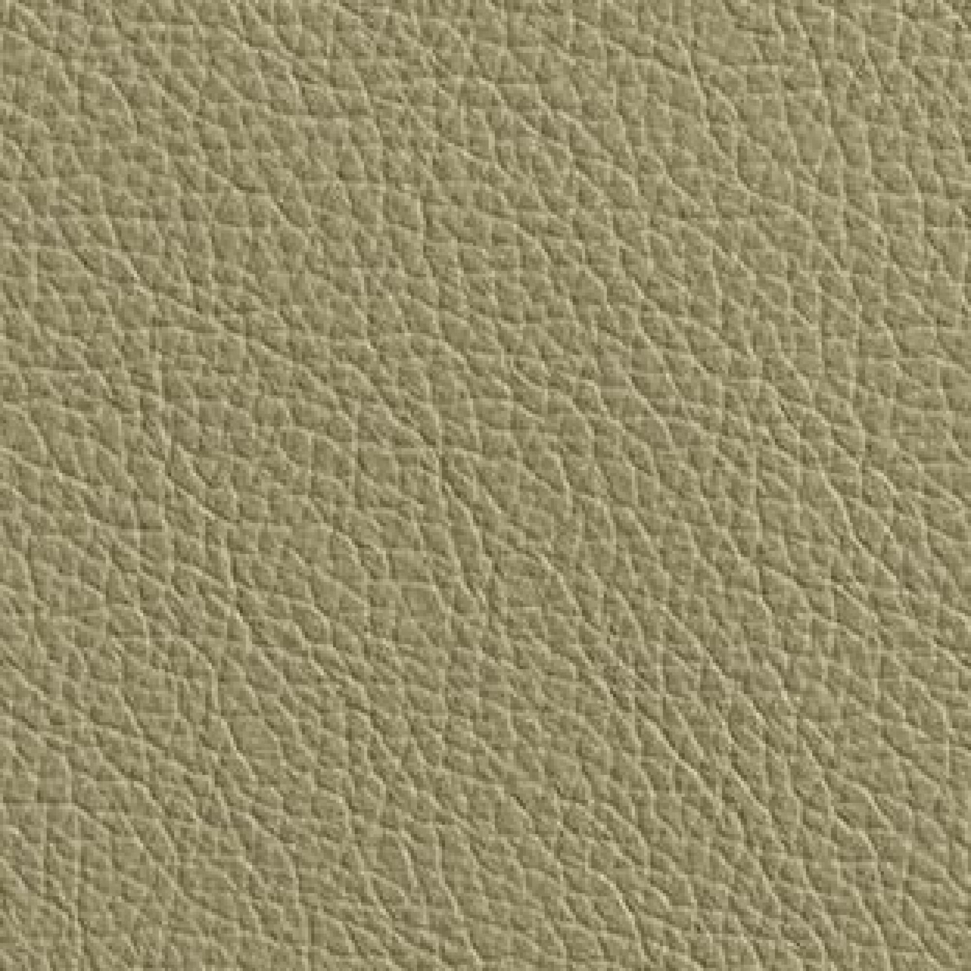 Leather : Hermes Dune