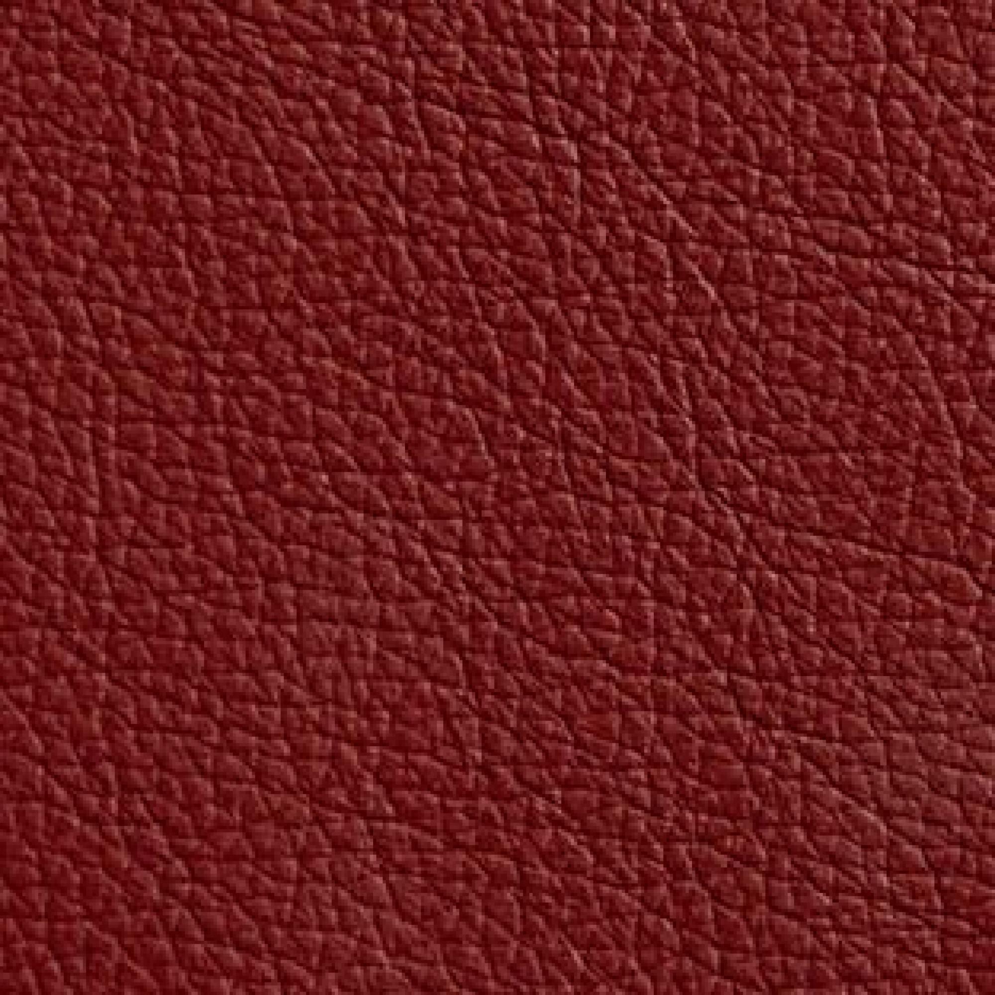 Leather : Hermes Fire