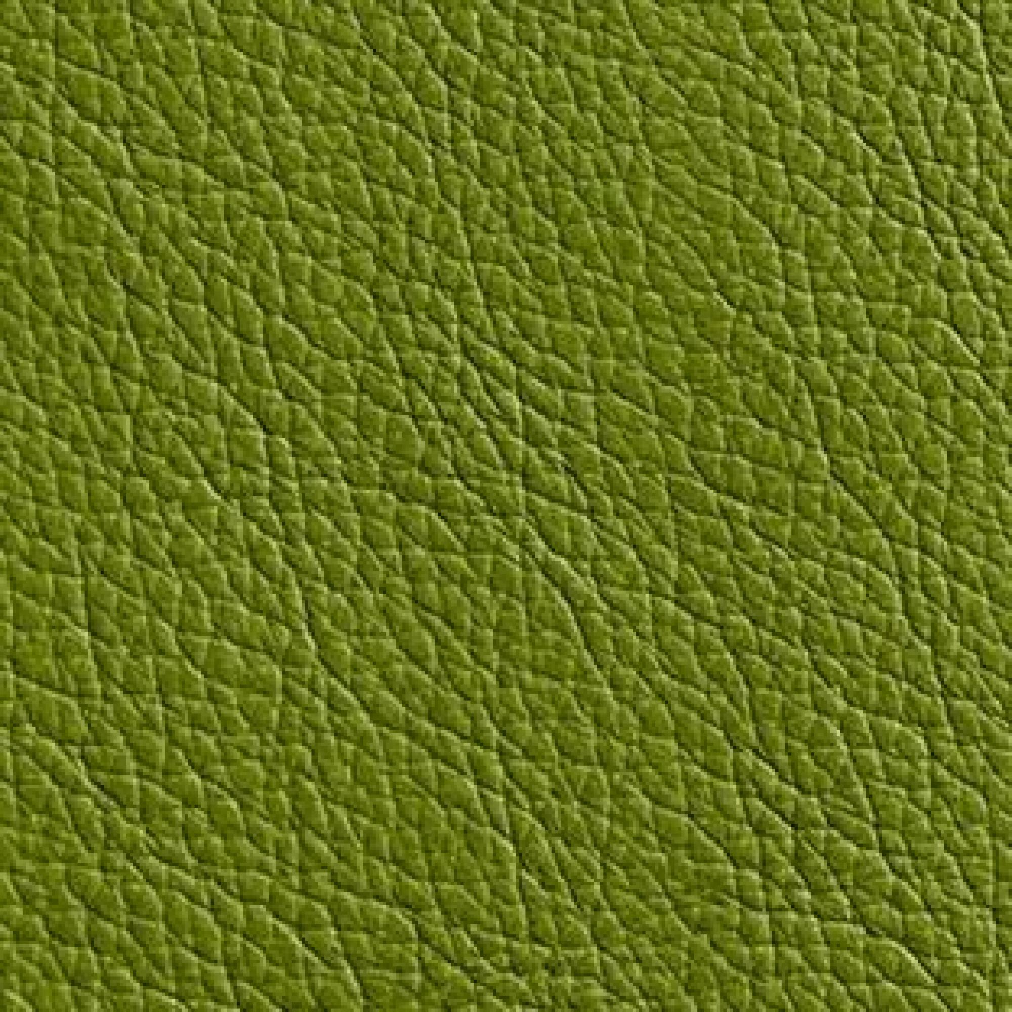 Leather : Hermes Lime