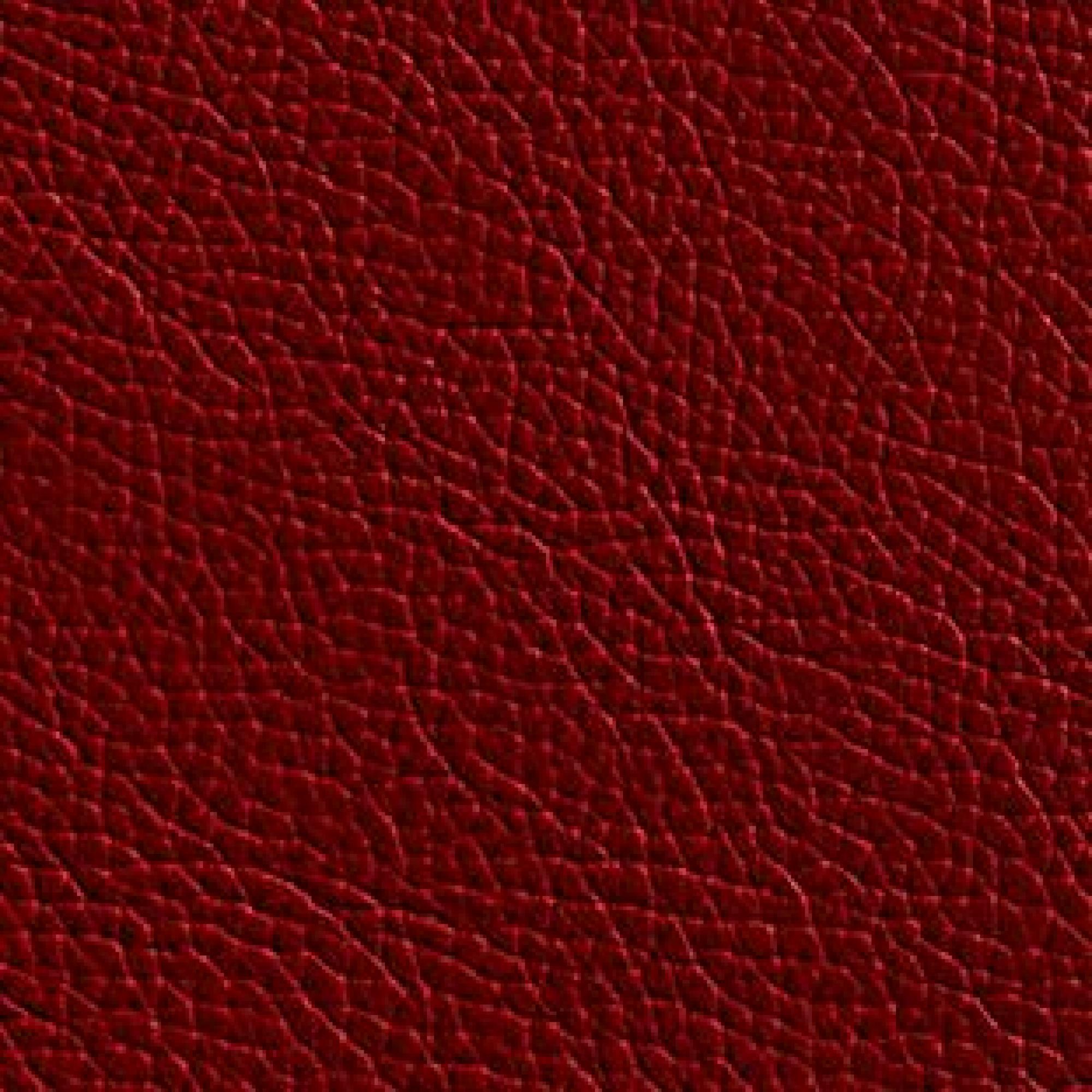 Leather : Hermes Red