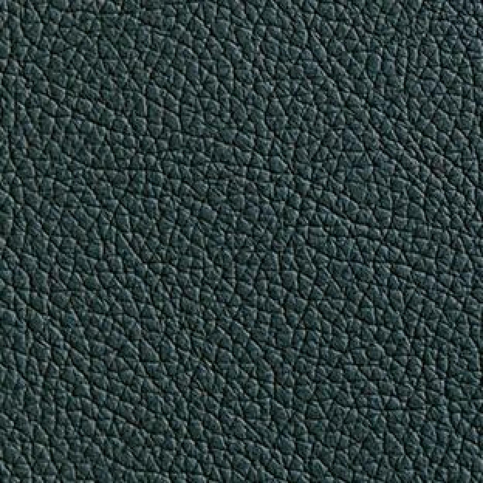 Leather : Hermes Verde