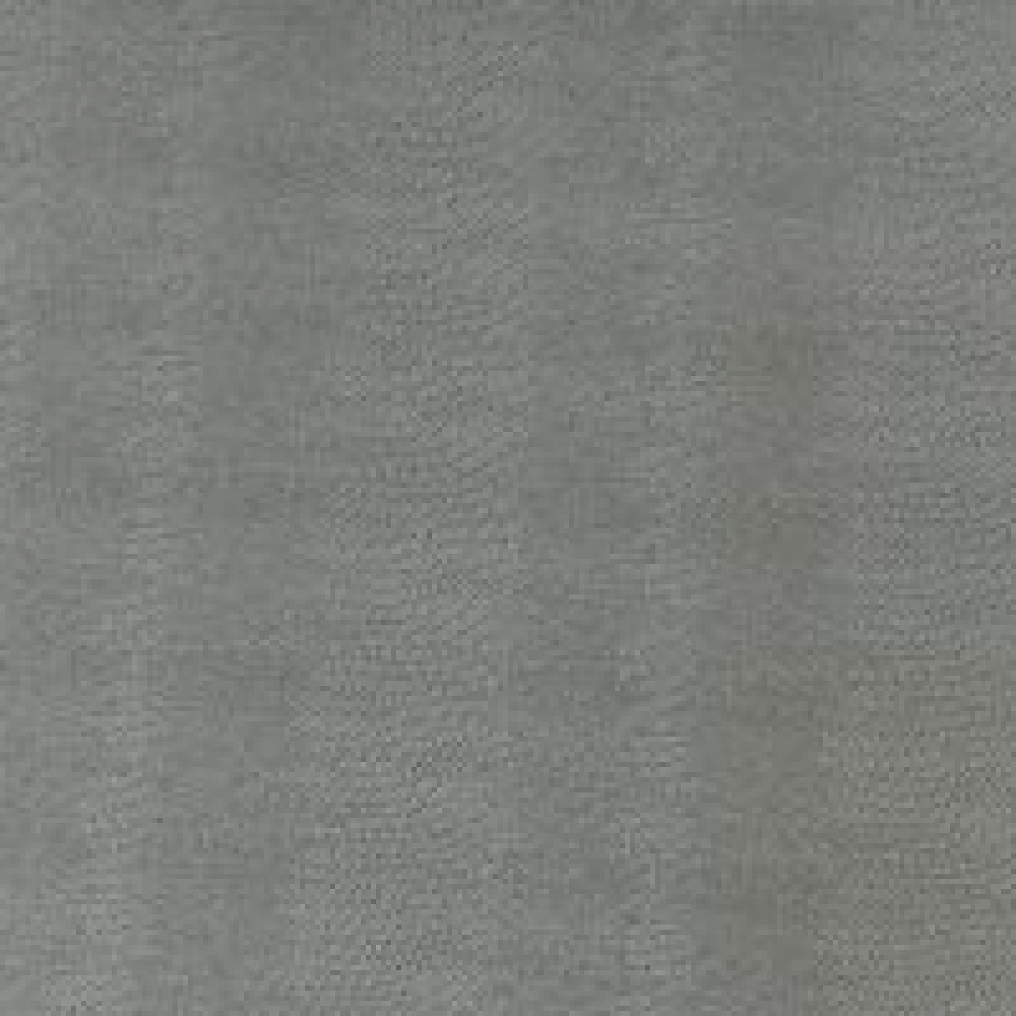 B005 : ECO Nabuk Light Grey Lizard