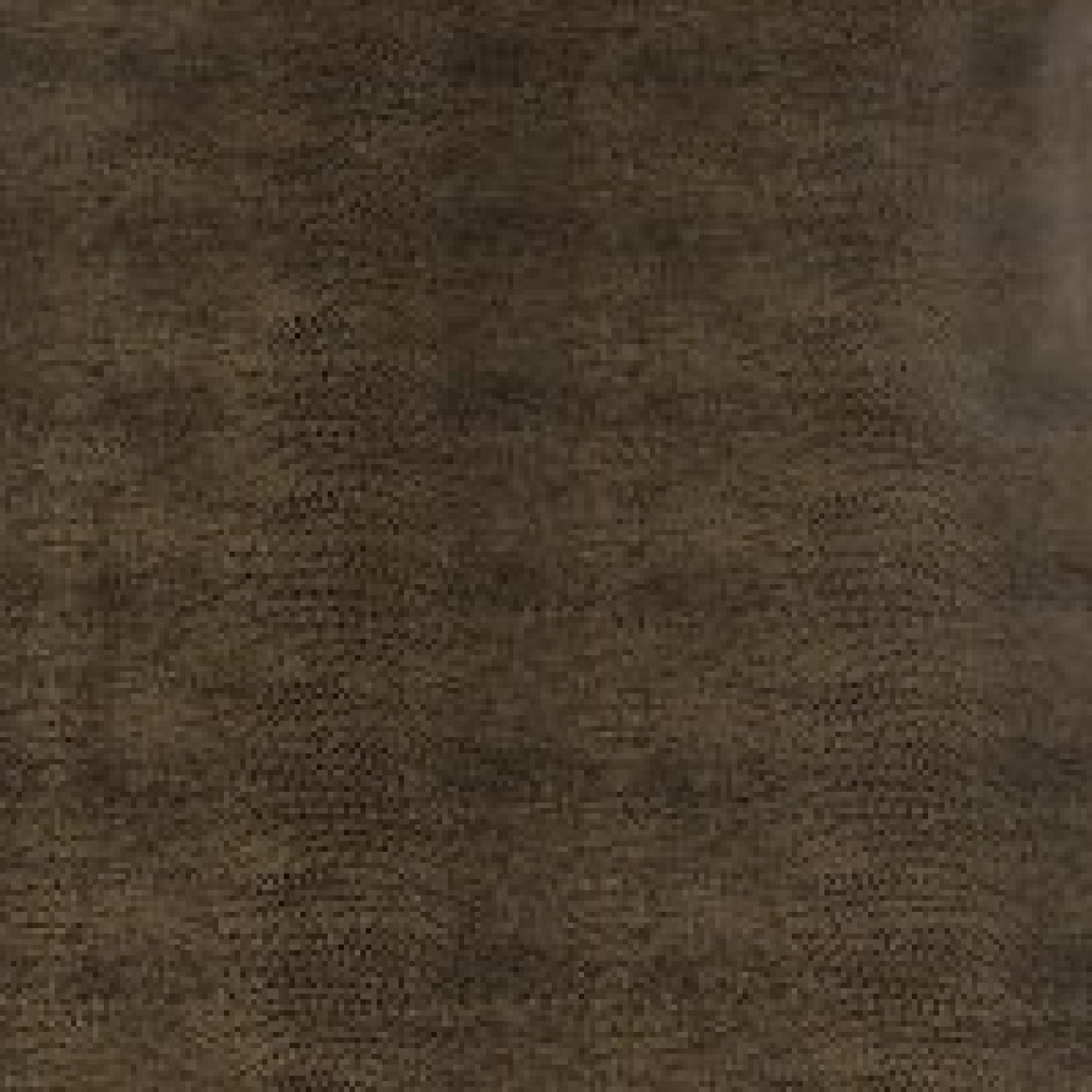B067 : ECO Nabuk Brown Lizard