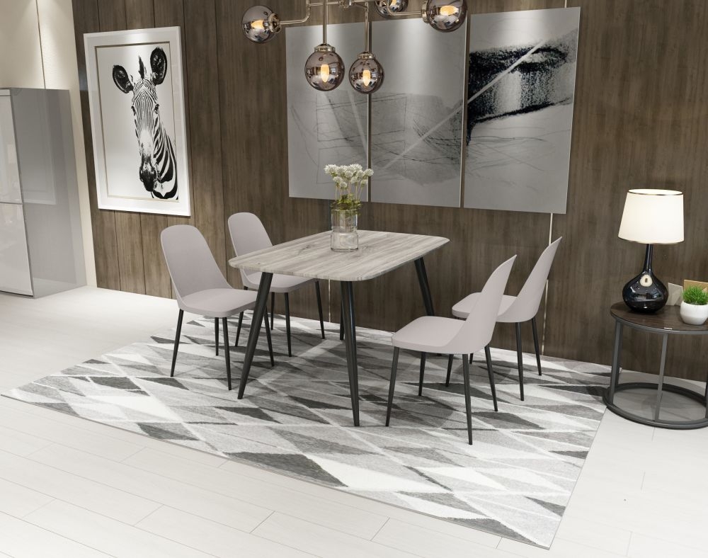 Aspen Dining Chair - Set of 2 - Calico Plastic Duo