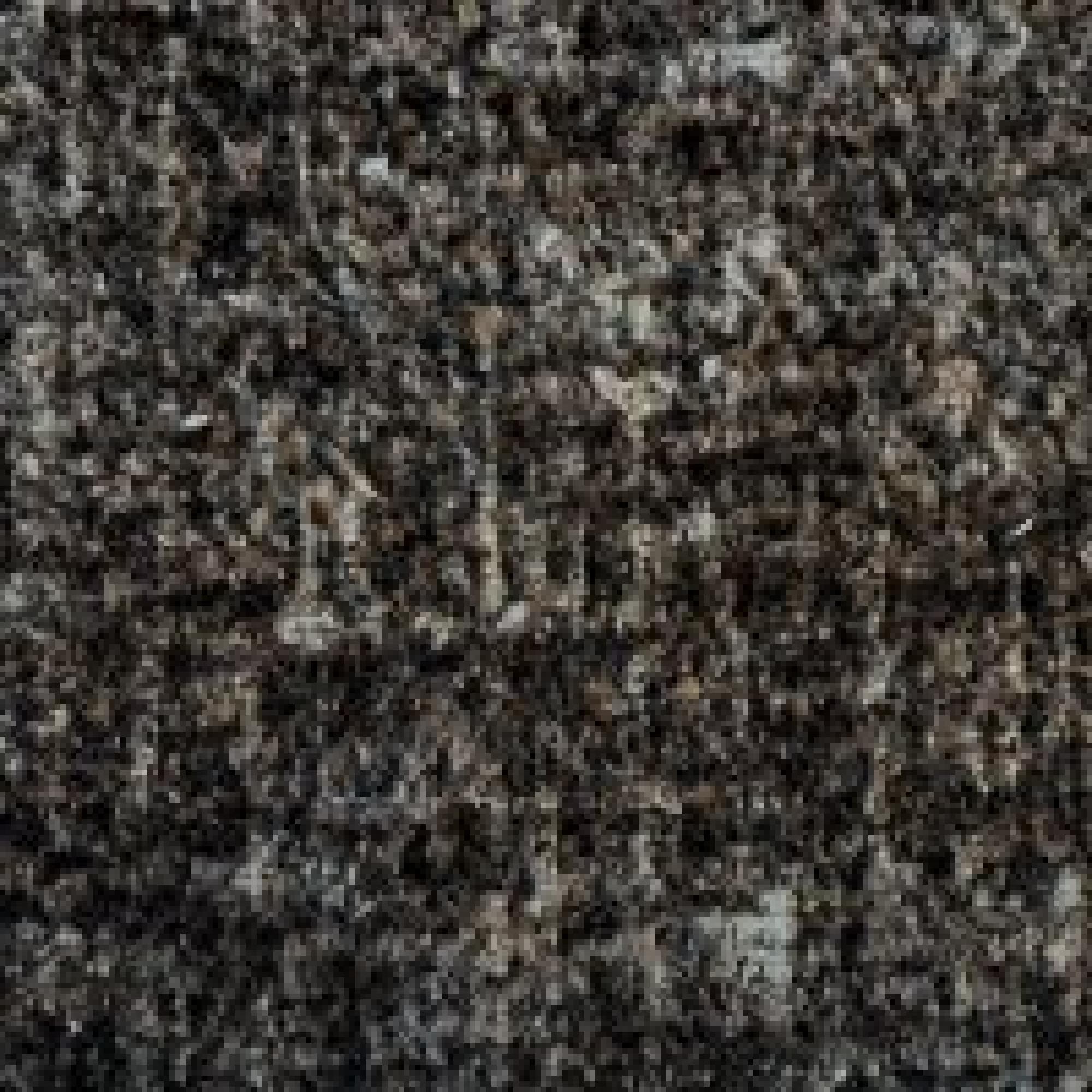 T023 : PORSE 18 Brown