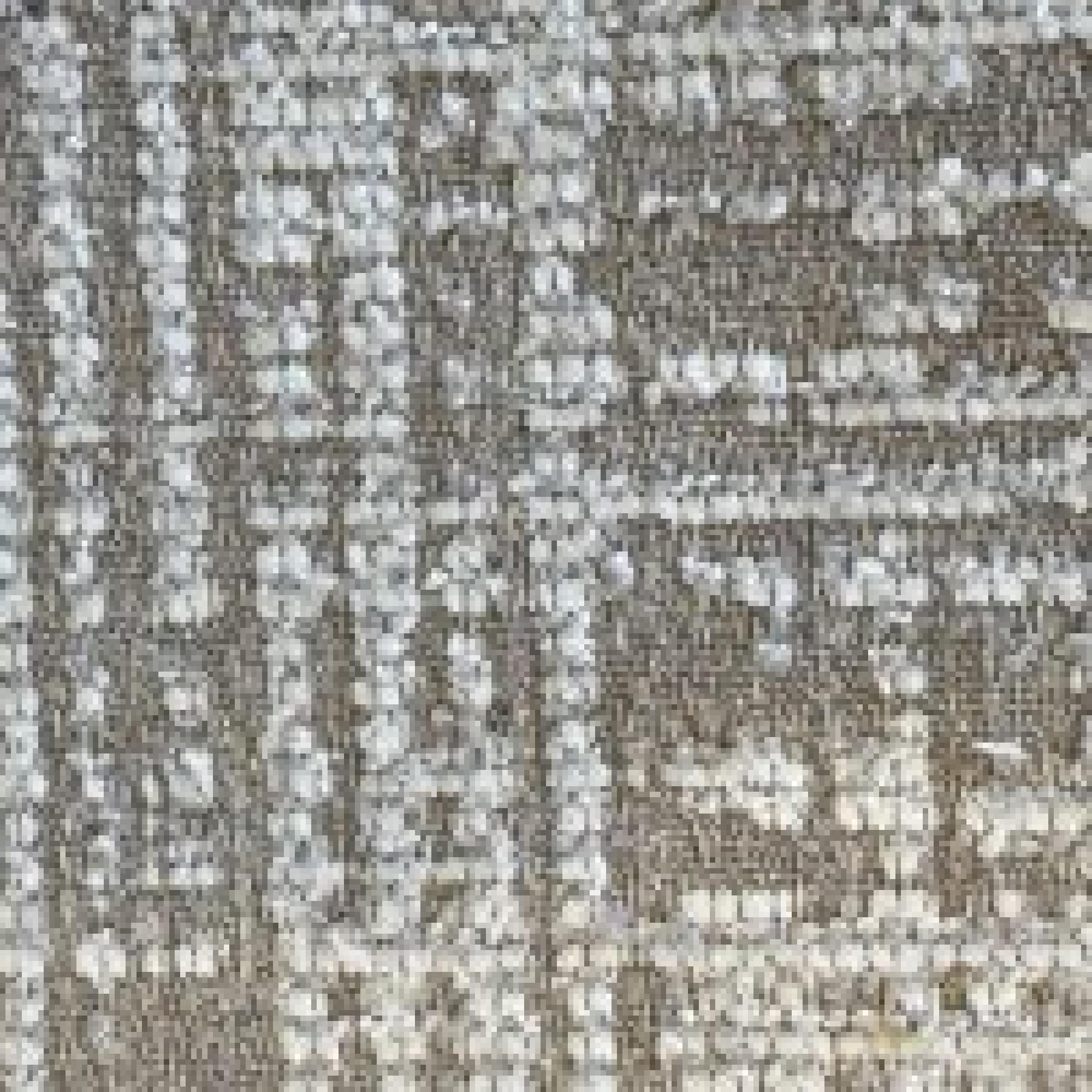 T003 : BARLAS 05 Dove