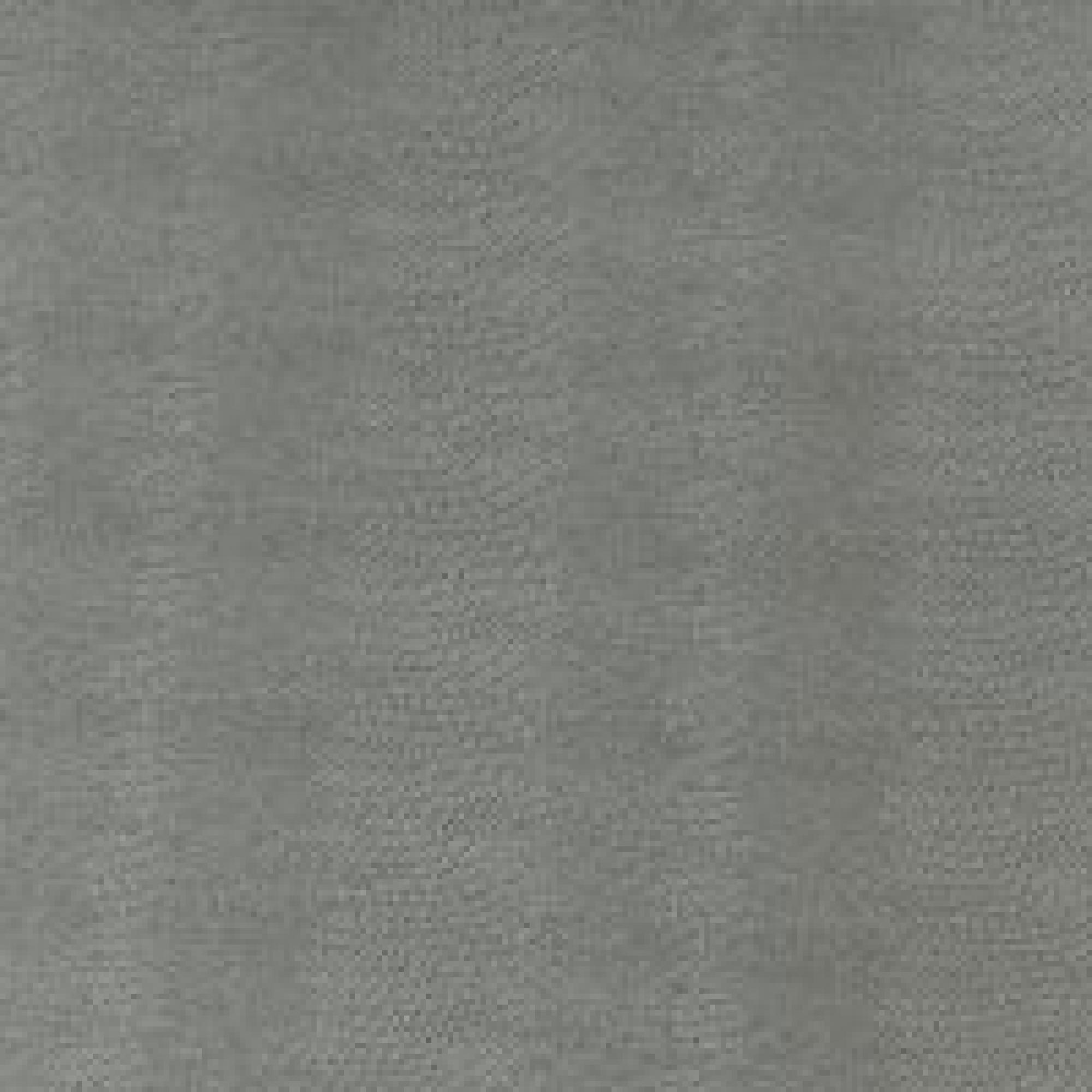 B005 : ECO Nabuk Light Grey Lizard