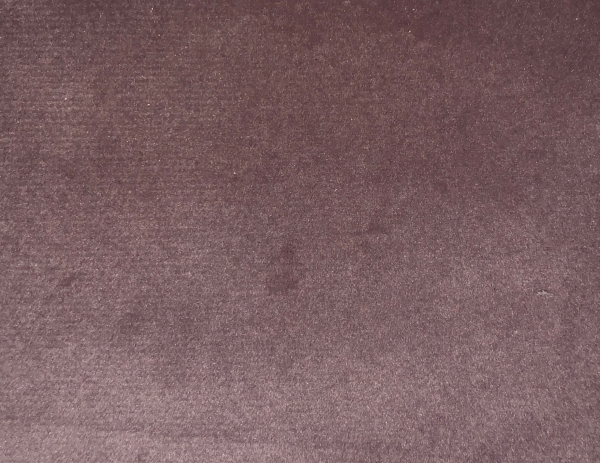 Scarlet 29 Light Violet