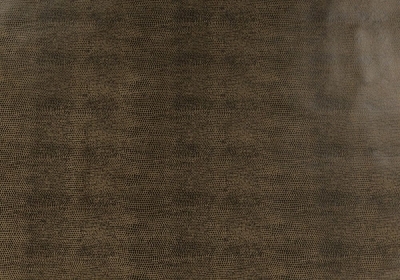 B067 : ECO Nabuk Brown Lizard