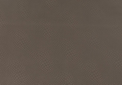 L012 : ECO Nabuk Light Brown Cocco