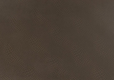 L067 : ECO Nabuk Brown Cocco