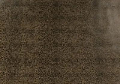 ECO Nabuk Brown Lizard - B067