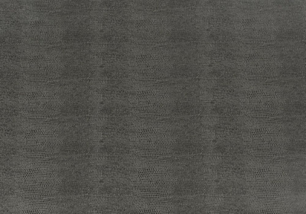 ECO Nabuk Grey Lizard - B015