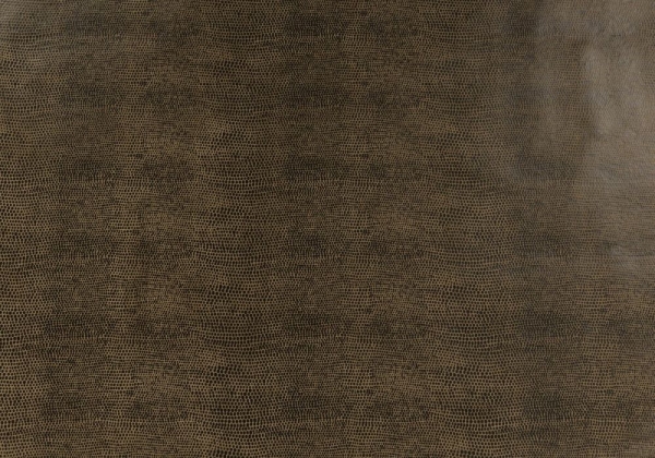 B067 : ECO Nabuk Brown Lizard