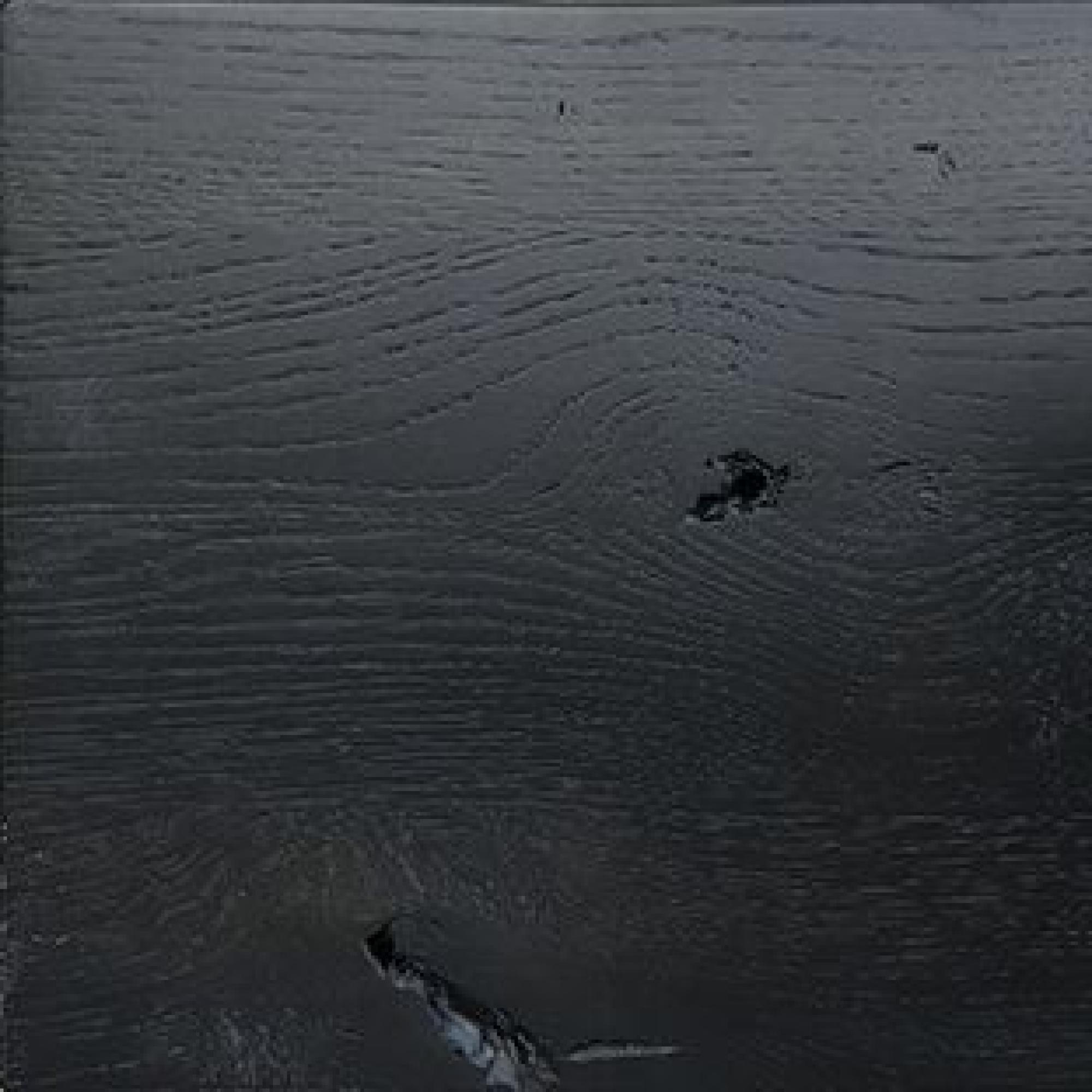 Black Matt Stained and Lacquered Oak