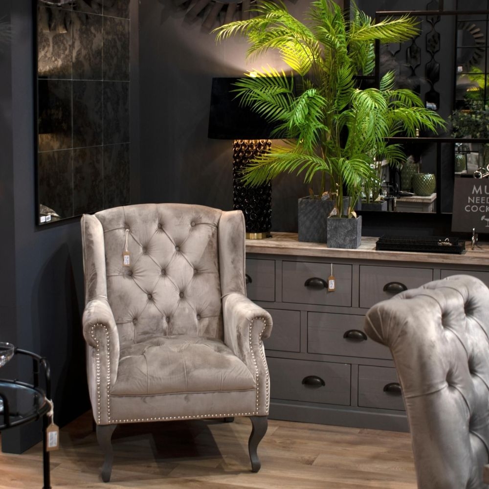 Paradise Palm - Large - Potted