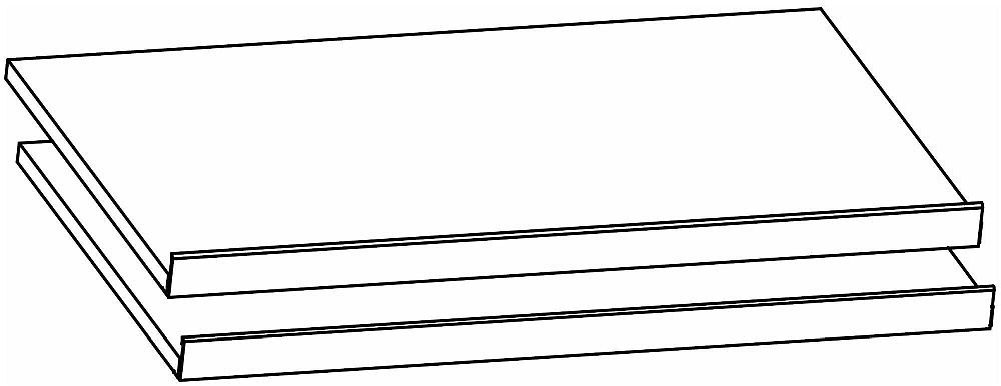 9FG2 : Shoe Shelves (Set of 2)