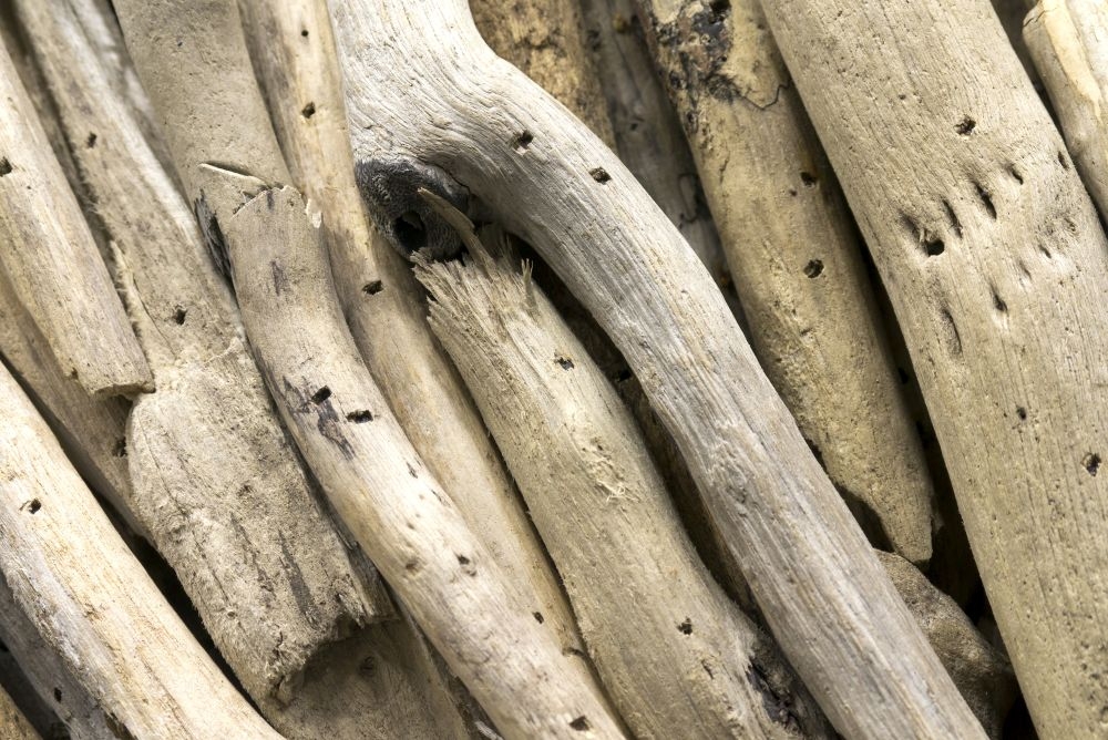 Driftwood Heart Medium Wall Deco