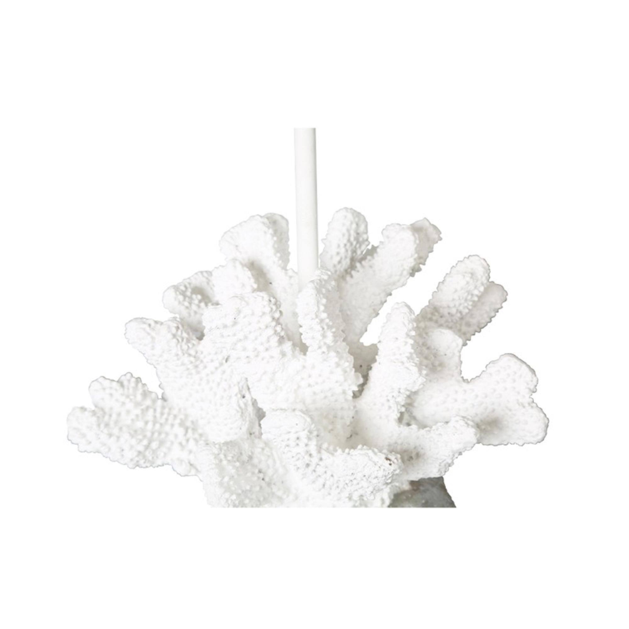 Table Lamp - White Shell