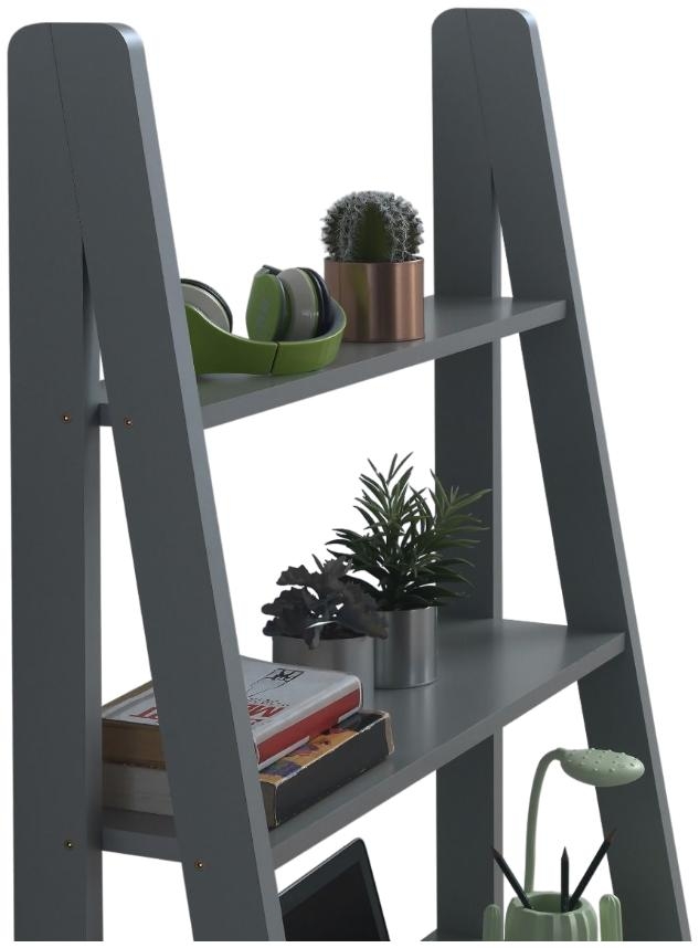 Ross Ladder Desk - Variant Available