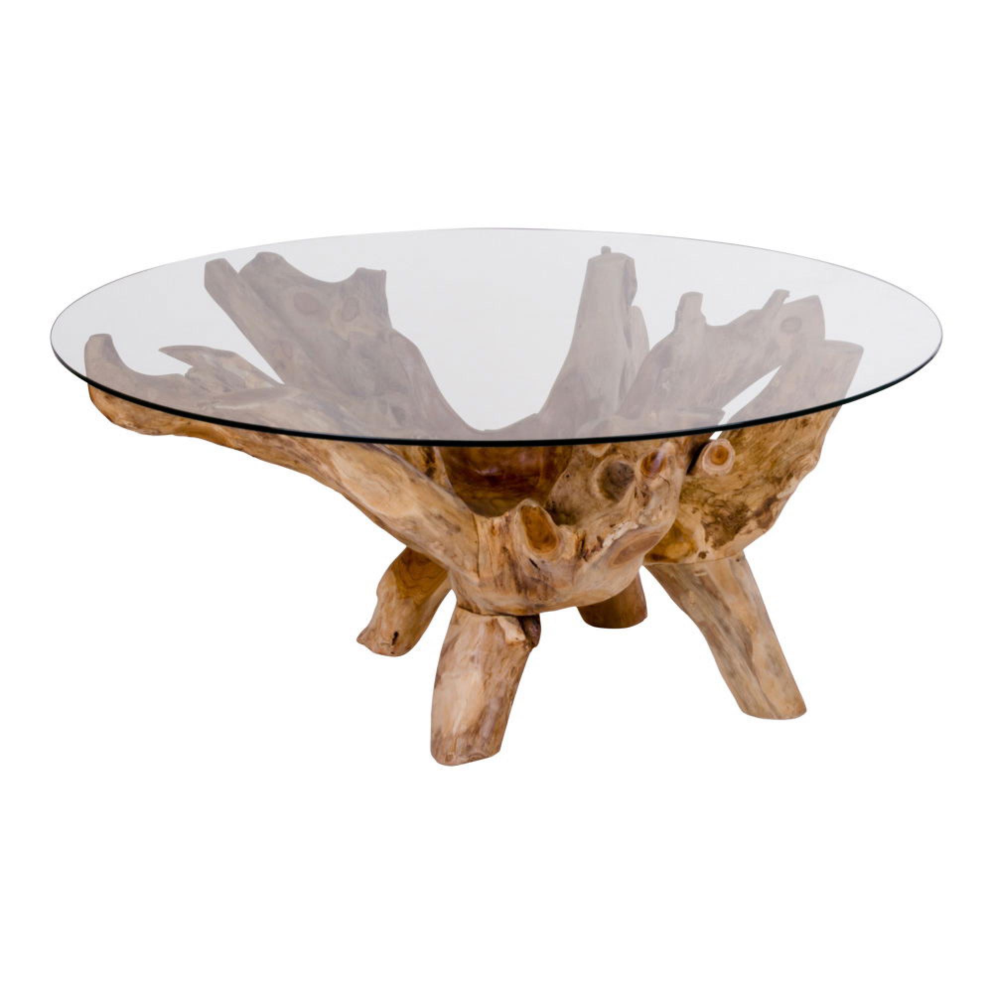 Amazonas Glass and Teak Root Round Coffee Table | Choice Furniture ...