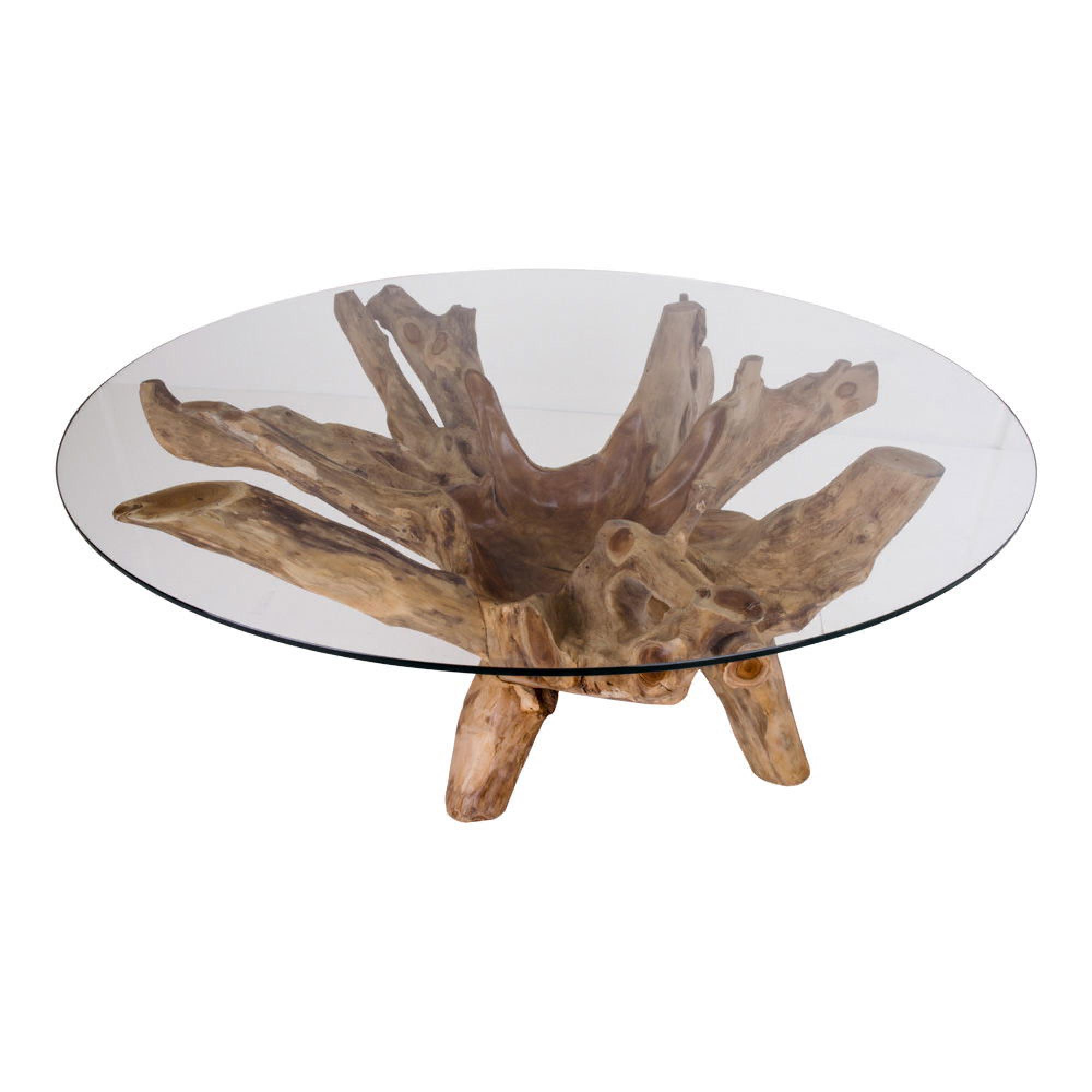 Amazonas Glass and Teak Root Round Coffee Table | Choice Furniture ...