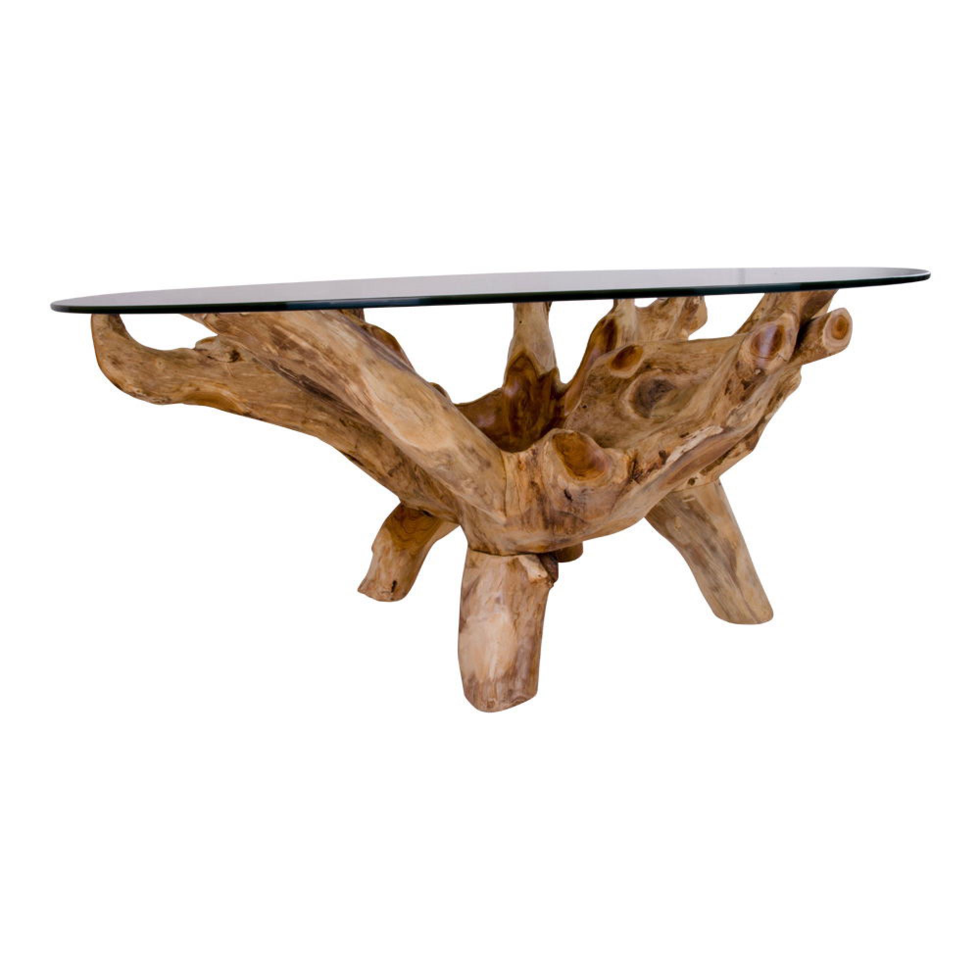 Amazonas Glass and Teak Root Round Coffee Table | Choice Furniture ...
