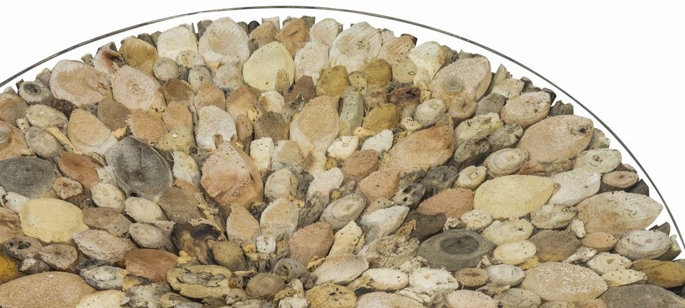 Driftwood Round Coffee Table - Glass Top