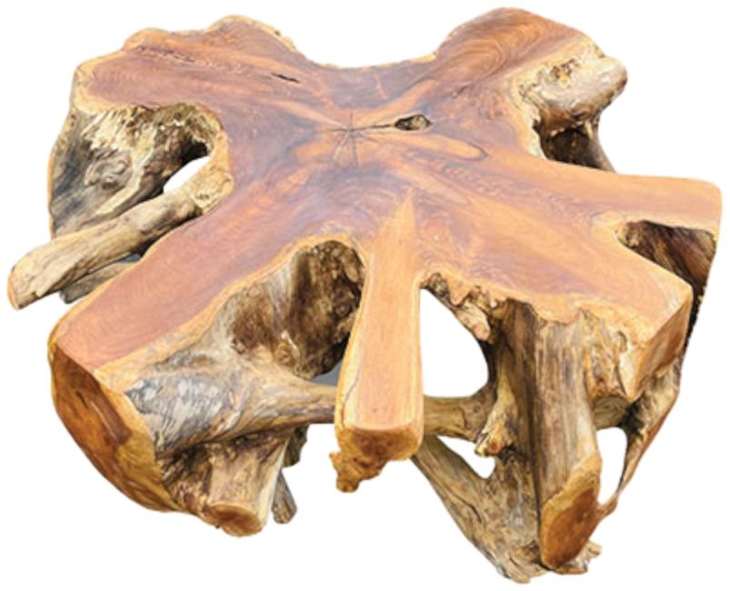 Teak Root Large Spider Coffee Table