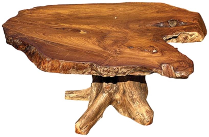 Teak Root Pedestal Coffee Table